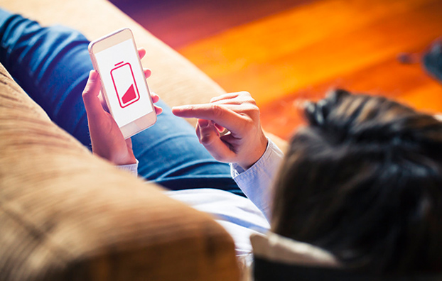 Consumer battery growth