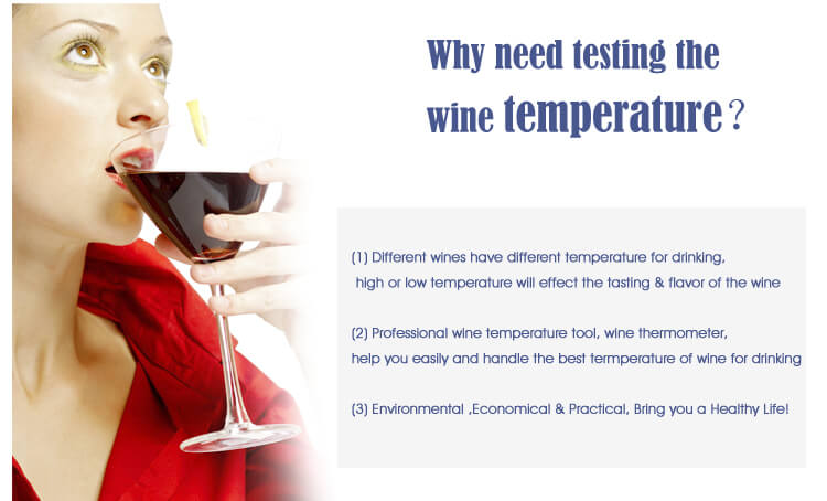 Wine Thermometer(图3)